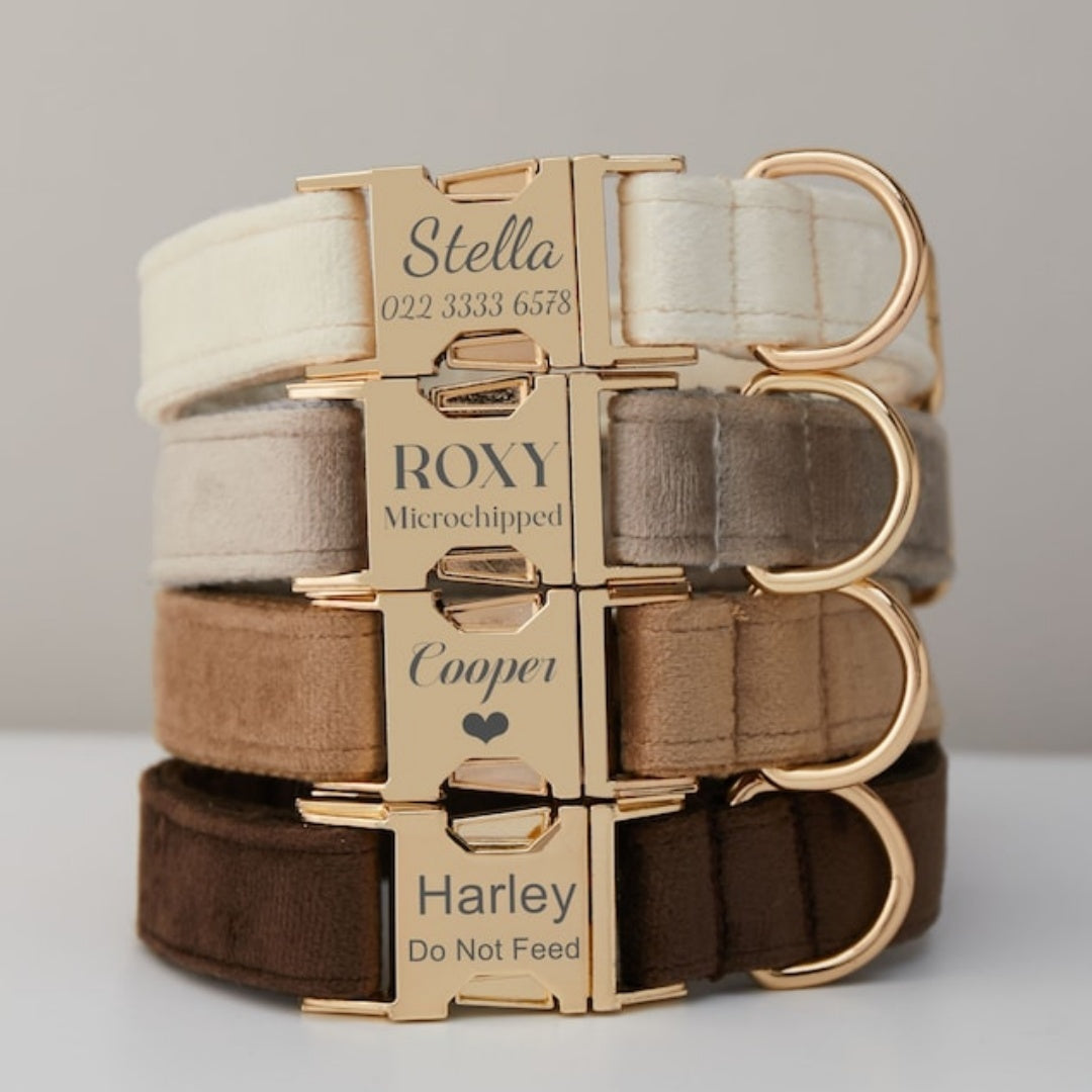 FieryFur Personalized Velvet Dog Collar & Leash Set with Bow – Custom Engraved Name Tag