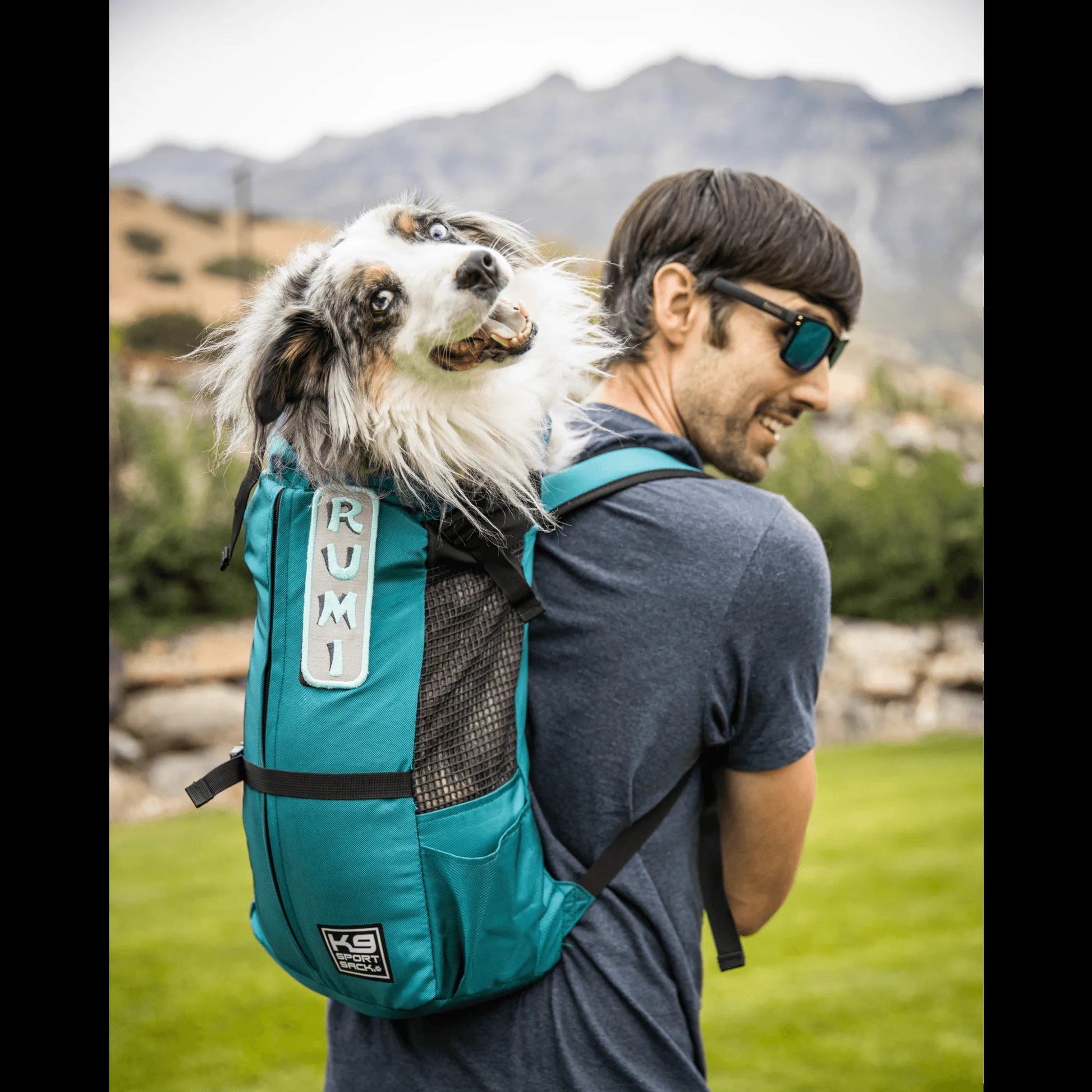 luxury dog backpack carrier for small dogs ergonomic comfort fit straps