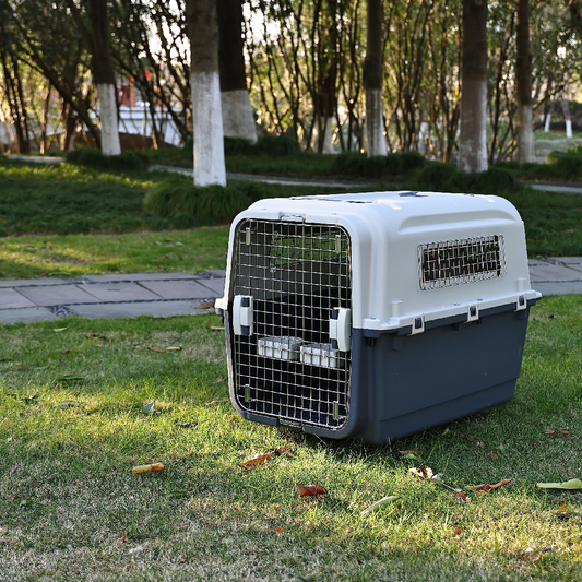 Fiery Travel Plastic Dog Kennel – Airline-Approved Pet Transport Crate (Self Pickup Only)