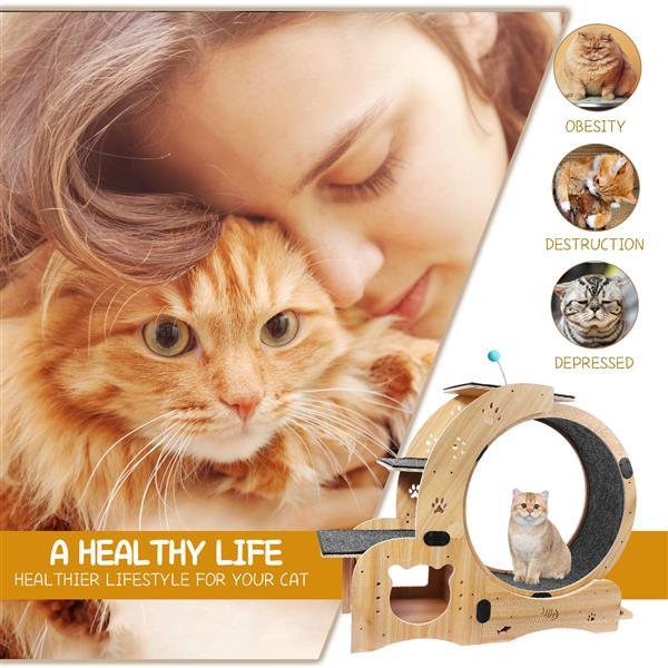 6-in-1 Cat Exercise Wheel – Upgraded Indoor Cat Running Wheel for Fitness & Play