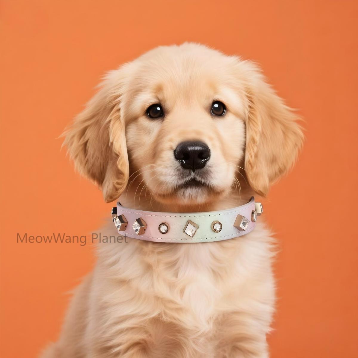 FieryFur Luxury Gemstone Pet Collar & Leash Set – Handcrafted Jewel-Accented Adjustable Necklace Style for Cats & Small to Medium Dogs