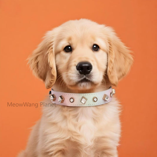 FieryFur Luxury Gemstone Pet Collar & Leash Set – Handcrafted Jewel-Accented Adjustable Necklace Style for Cats & Small to Medium Dogs