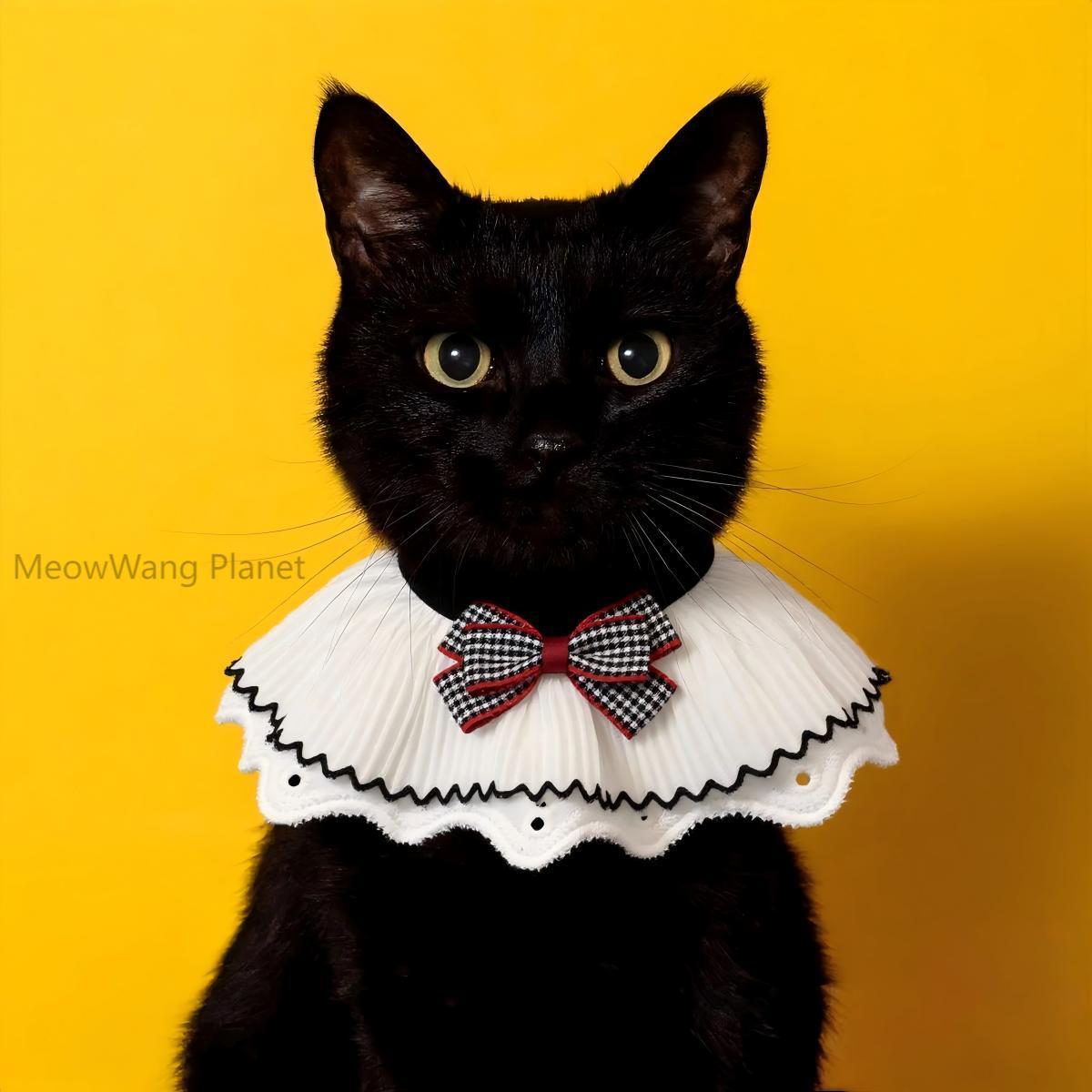 FieryFur Lace Bow Pet Collar – Elegant Handcrafted Neck Accessory for Cats & Small Dogs