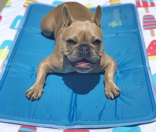 luxury cooling dog mat for small dogs cool pet pad front view